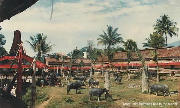 Rante at funeral ceremony in Toraja
