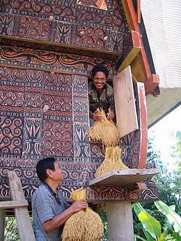 toraya